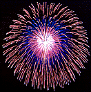 shell with triple pistil